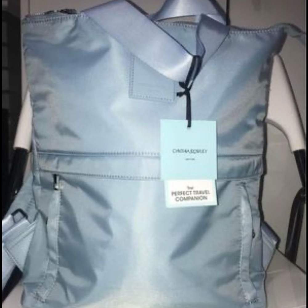 Cynthia Rowley Bag with padded laptop section in it.